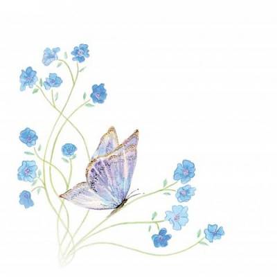 Cover of Butterfly 6 Pack Cards - Glen Gallery - 805562004264