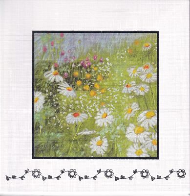 Cover of Daisies Pack of 6 Cards - Glen Gallery - 805562007029