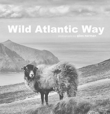 Cover of Wild Atlantic Way: Light on the water, shadows on the land - Giles Norman - 9781788491228