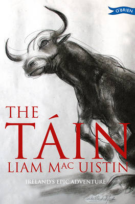Cover of The Tain: Ireland's Epic Adventure