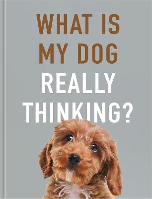 Cover of What is My Dog Really Thinking?: Our Doggie's Inner Mind Explained