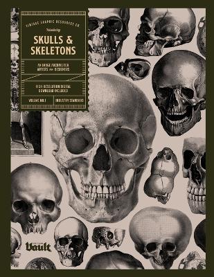 Cover of Skulls and Skeletons - Kale James - 9781925968446